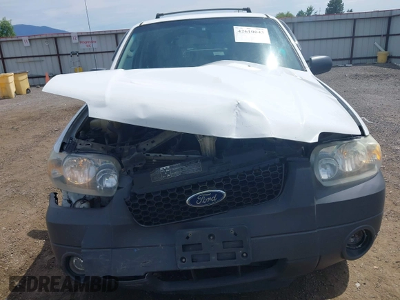 2006 Ford Escape XLT with VIN 1FMCU93106KA36063, listed as a IAAI auction lot 42610043 with 193,703 mi miles and . Bid and sale history available at DreamBid. Image 12.