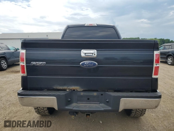 2009 Ford F-150 XL with VIN 1FTPX14V09FA78746, listed as a Copart auction lot 64223905 with 228,763 mi miles and Clean title. Bid and sale history available at DreamBid. Image 6.