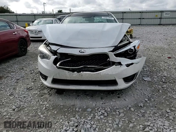 2014 Kia Cadenza Limited with VIN KNALN4D72E5164368, listed as a Copart auction lot 79401354 with 123,869 mi miles and Salvage Title. Bid and sale history available at carsss.com. Image 10.