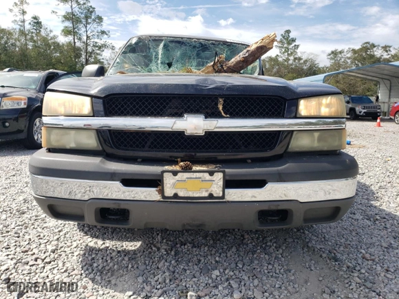 2004 Chevrolet Silverado 1500 LS with VIN 1GCEC14V64Z278346, listed as a Copart auction lot 74509394 with 0 mi miles and Salvage Title. Bid and sale history available at carsss.com. Image 5.