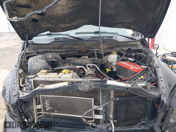 2008 Dodge 1500 SLT with VIN 1D7HU18268S618884, listed as a IAAI auction lot 41565100 with Not Provided miles and . Bid and sale history available at DreamBid. Image 10.