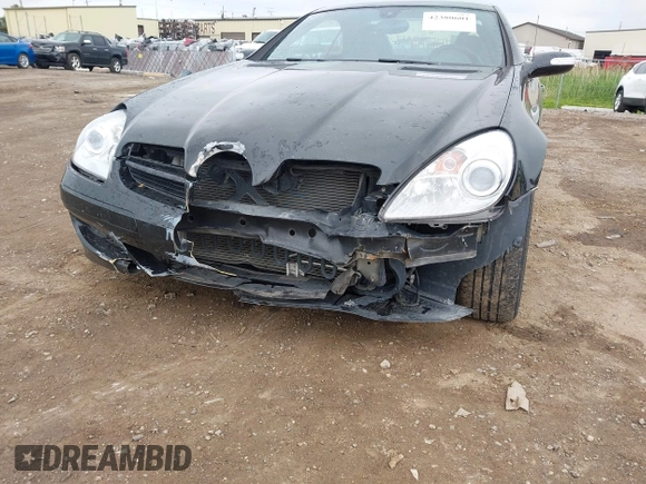2007 Mercedes-Benz SLK 350 z VIN WDBWK56F67F136085, wystawiony jako IAAI lot #42380601 z przebiegiem 112 246 mil mil oraz . Historia ofert i sprzedaży dostępna na DreamBid. Obrazek 6.