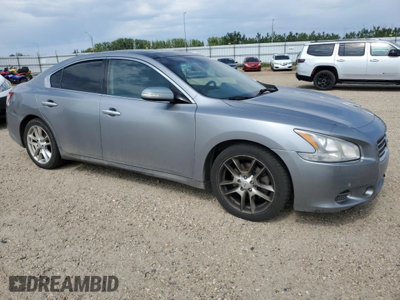 2009 Nissan Maxima S с VIN 1N4AA51E99C837209, выставлен на аукционе Copart как лот 61624435 с пробегом 160 869 миль миль и Списание • Salvage title. История ставок и продаж доступна на DreamBid. Изображение 4.