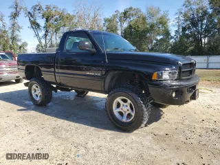 2001 Dodge Ram 1500 with VIN 1B7HF16Y61S318375, listed as a Copart auction lot 87651905 with 309,733 mi miles and Salvage Title. Bid and sale history available at carsss.com. Image 4.