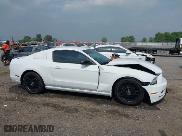 2014 Ford Mustang V6 с VIN 1ZVBP8AM2E5318701, выставлен на аукционе IAAI как лот 42265557 с пробегом 97 870 миль миль и . История ставок и продаж доступна на DreamBid. Изображение 14.