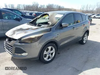 2014 Ford Escape SE with VIN 1FMCU0GX1EUB77611, listed as a IAAI auction lot 41781492 with Not Provided miles. Bid and sale history available at carsss.com. Image 2.