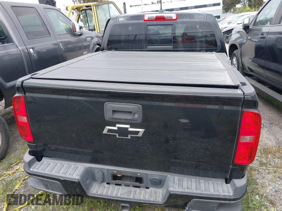 2019 Chevrolet Colorado 4WD Z71 with VIN 1GCGTDEN5K1289956, listed as a IAAI auction lot 41729406 with 60,887 mi miles. Bid and sale history available at carsss.com. Image 17.