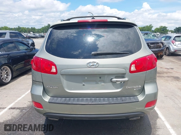 2007 Hyundai Santa Fe SE with VIN 5NMSH13E77H128941, listed as a IAAI auction lot 42641419 with 209,159 mi miles and . Bid and sale history available at DreamBid. Image 16.