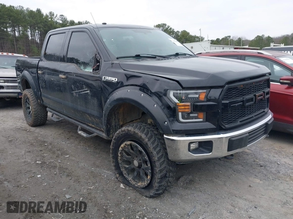 2017 Ford F-150 XL with VIN 1FTEW1EF8HFC36816, listed as a IAAI auction lot 41481007 with 100,828 mi miles. Bid and sale history available at carsss.com. Image 13.