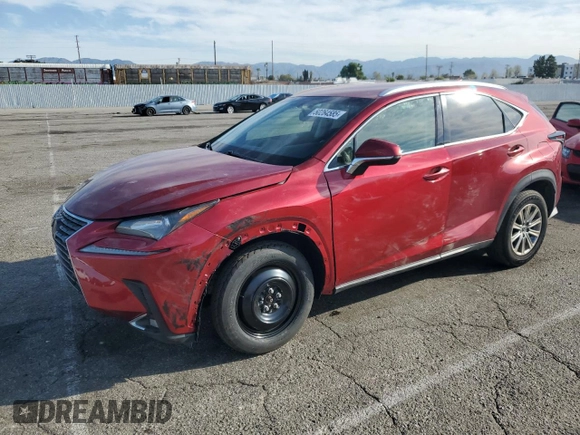 2020 Lexus NX 300 with VIN JTJAARBZXL5001159, listed as a Copart auction lot 50264585 with 49,024 mi miles and Salvage title. Bid and sale history available at DreamBid. Image 1.