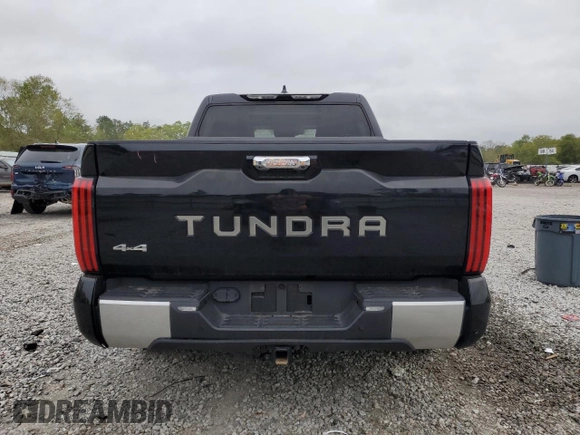 2023 Toyota Tundra Limited with VIN 5TFJA5DB2PX057585, listed as a Copart auction lot 51068025 with 45,403 mi miles and Salvage title. Bid and sale history available at DreamBid. Image 6.