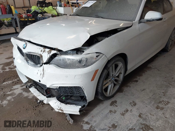 2016 BMW 2 Series 228i xDrive with VIN WBA1G9C53GVX97088, listed as a IAAI auction lot 41617710 with 72,978 mi miles and . Bid and sale history available at DreamBid. Image 12.