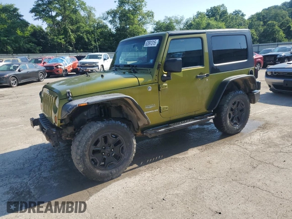 2010 Jeep Wrangler Sahara with VIN 1J4AA5D16AL203910, listed as a Copart auction lot 62891315 with 124,337 mi miles and Salvage title. Bid and sale history available at DreamBid. Image 1.