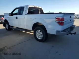 2009 Ford F-150 XL with VIN 1FTPX14V09FB46656, listed as a Copart auction lot 50243765 with 0 mi miles and Clean Title. Bid and sale history available at carsss.com. Image 2.