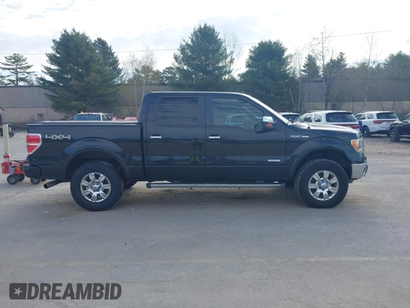 2011 Ford F-150 XLT with VIN 1FTFW1ET7BFA54123, listed as a IAAI auction lot 42119218 with 208,258 mi miles. Bid and sale history available at carsss.com. Image 13.