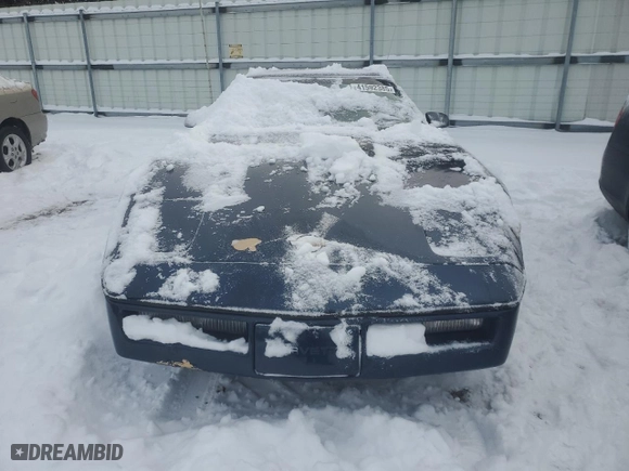 1984 Chevrolet Corvette with VIN 1G1AY0781E5106551, listed as a Copart auction lot 41592385 with 0 mi miles and Clean Title. Bid and sale history available at carsss.com. Image 5.