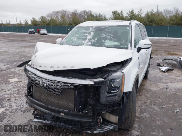 2020 Kia Telluride S with VIN 5XYP64HC4LG036632, listed as a IAAI auction lot 41734210 with 97,502 mi miles and . Bid and sale history available at carsss.com. Image 17.
