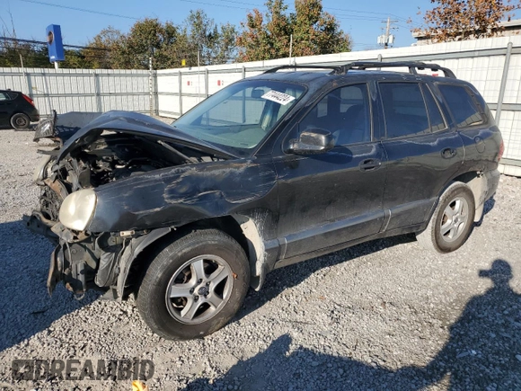 2003 Hyundai Santa Fe GLS with VIN KM8SC73D73U359572, listed as a Copart auction lot 77444224 with 368,459 mi miles and Salvage Title. Bid and sale history available at carsss.com. Image 1.