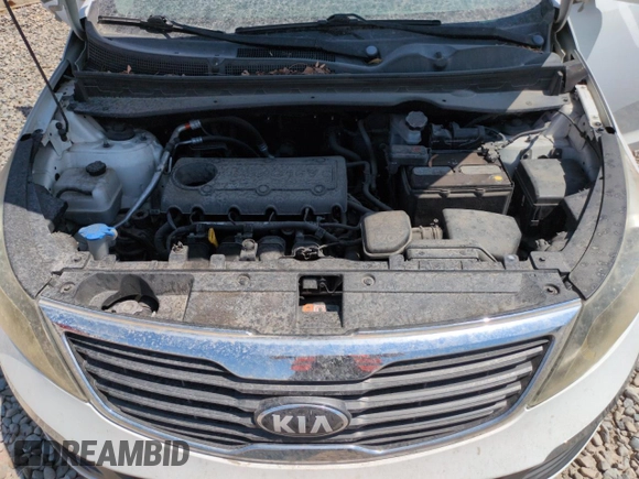 2013 Kia Sportage LX with VIN KNDPBCA26D7441199, listed as a Copart auction lot 62295015 with Not provided miles and Clean title. Bid and sale history available at DreamBid. Image 11.