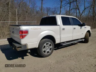 2011 Ford F-150 XLT with VIN 1FTFW1ET1BFC64913, listed as a Copart auction lot 49413115 with 204,750 mi miles and Clean Title. Bid and sale history available at carsss.com. Image 3.