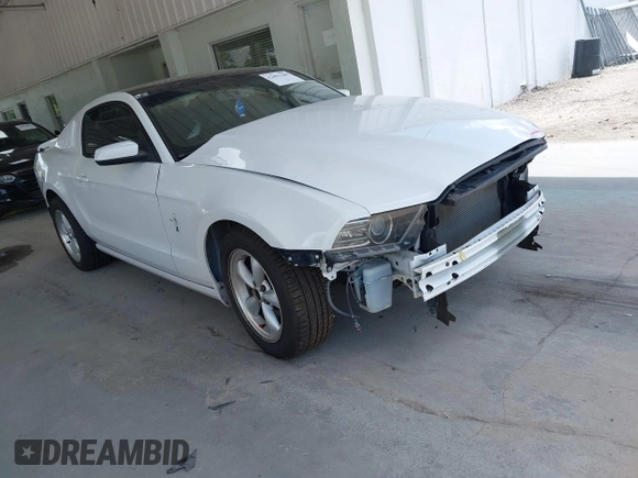 2014 Ford Mustang V6 с VIN 1ZVBP8AMXE5248106, выставлен на аукционе IAAI как лот 42491300 с пробегом 144 587 миль миль и . История ставок и продаж доступна на DreamBid. Изображение 1.