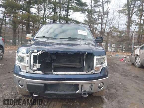 2014 Ford F-150 XL with VIN 1FTFW1EFXEFC89999, listed as a IAAI auction lot 41491284 with 98,569 mi miles. Bid and sale history available at carsss.com. Image 12.