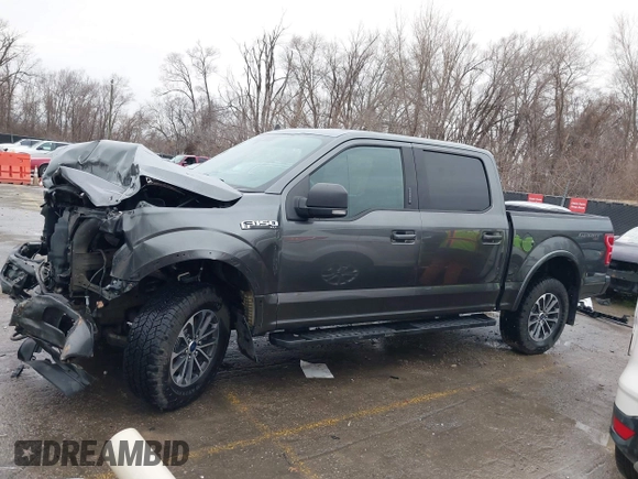 2019 Ford F-150 XL with VIN 1FTEW1E49KFB29702, listed as a IAAI auction lot 41193981 with 57,755 mi miles. Bid and sale history available at carsss.com. Image 15.