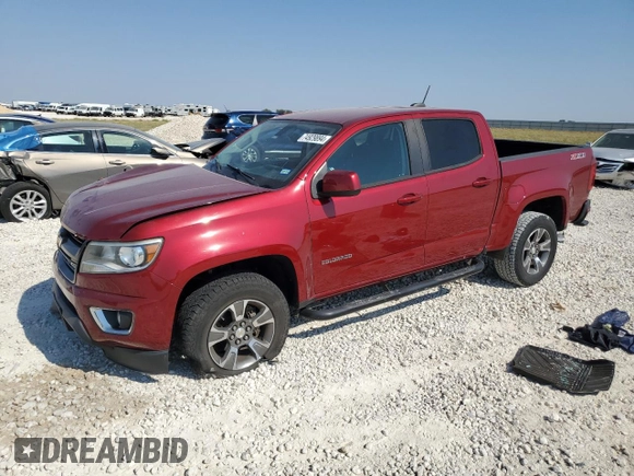 2019 Chevrolet Colorado 2WD Z71 with VIN 1GCGSDEN7K1300135, listed as a Copart auction lot 74929894 with Not Provided miles and Salvage Title. Bid and sale history available at carsss.com. Image 1.
