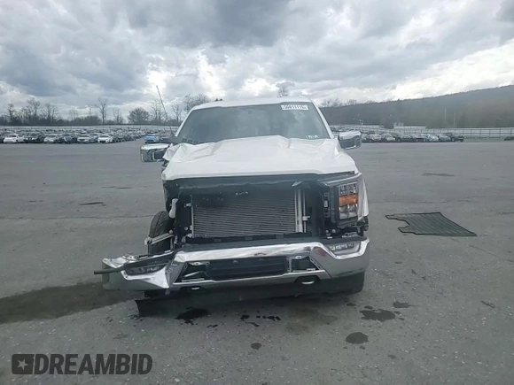 2023 Ford F-150 XL with VIN 1FTFW1E5XPFA44341, listed as a Copart auction lot 50811115 with 16,483 mi miles and Salvage Title. Bid and sale history available at carsss.com. Image 10.