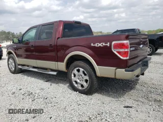 2009 Ford F-150 XL with VIN 1FTPW14V69FA81573, listed as a Copart auction lot 49098534 with 237,463 mi miles and Salvage title. Bid and sale history available at DreamBid. Image 2.