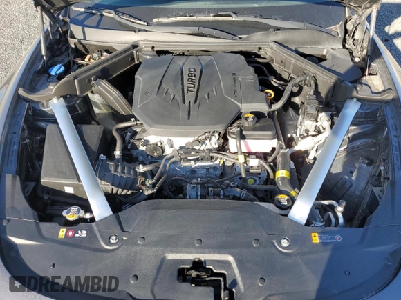 2022 Kia Stinger GT-Line with VIN KNAE35LD0N6114767, listed as a Copart auction lot 81482714 with Not Provided miles and Salvage Title. Bid and sale history available at DreamBid. Image 11.