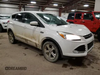 2013 Ford Escape SE with VIN 1FMCU0GX3DUA49482, listed as a Copart auction lot 85415084 with 131,056 mi miles and Salvage Title. Bid and sale history available at DreamBid. Image 4.