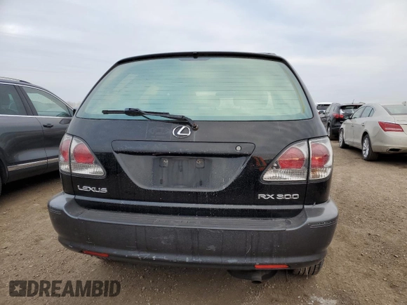 2001 Lexus RX 300 with VIN JTJHF10U610203659, listed as a Copart auction lot 41648775 with 194,629 mi miles and Salvage Title. Bid and sale history available at carsss.com. Image 6.
