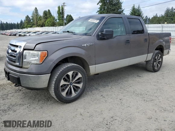 2009 Ford F-150 XL с VIN 1FTPW14V69FA77815, выставлен на аукционе Copart как лот 65020375 с пробегом 273 313 миль миль и Чистый • Clean title. История ставок и продаж доступна на DreamBid. Изображение 1.