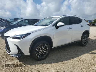 2023 Lexus NX with VIN JTJGDCAZ2P5009827, listed as a Copart auction lot 73701374 with Not Provided miles and Non Repairable. Bid and sale history available at carsss.com. Image 1.