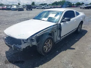 2008 Ford Mustang Deluxe with VIN 1ZVHT80N885199959, listed as a IAAI auction lot 42248199 with 275,431 mi miles and . Bid and sale history available at DreamBid. Image 2.