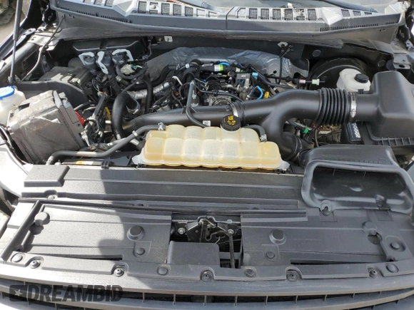 2019 Ford F-150 XL with VIN 1FTEX1CPXKFB34725, listed as a Copart auction lot 55828445 with 79,828 mi miles and Salvage title. Bid and sale history available at DreamBid. Image 11.