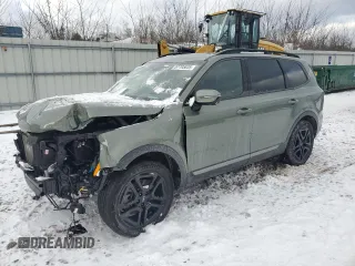 2023 Kia Telluride SX с VIN 5XYP5DGC1PG340902, выставлен на аукционе Copart как лот 87705835 с пробегом 25 797 миль миль и Списание • Salvage title. История ставок и продаж доступна на DreamBid. Изображение 1.