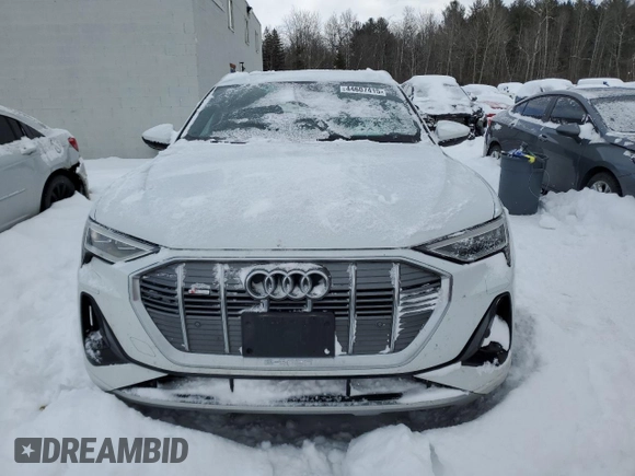 2022 Audi e-tron Premium with VIN WA1AAAGE6NB042543, listed as a Copart auction lot 44607415 with 143,781 mi miles and Salvage Title. Bid and sale history available at carsss.com. Image 5.