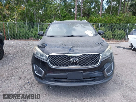 2017 Kia Sorento LX with VIN 5XYPGDA34HG293207, listed as a IAAI auction lot 42108117 with 187,998 mi miles and . Bid and sale history available at DreamBid. Image 11.
