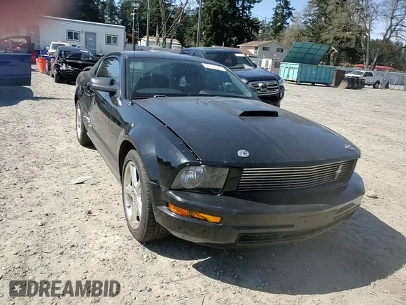 2009 Ford Mustang with VIN 1ZVHT80N295107200, listed as a Copart auction lot 53107595 with 102,704 mi miles and Salvage Title. Bid and sale history available at carsss.com. Image 11.