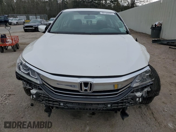 2017 Honda Accord Sedan LX with VIN 1HGCR2F30HA241564, listed as a Copart auction lot 49126925 with 95,781 mi miles and Salvage Title. Bid and sale history available at carsss.com. Image 5.