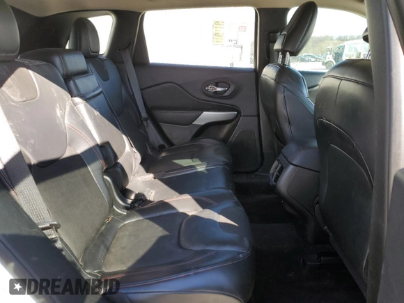 2018 Jeep Cherokee Trailhawk with VIN 1C4PJMBX0JD619737, listed as a Copart auction lot 46181354 with 117,381 mi miles and Clean Title. Bid and sale history available at carsss.com. Image 11.