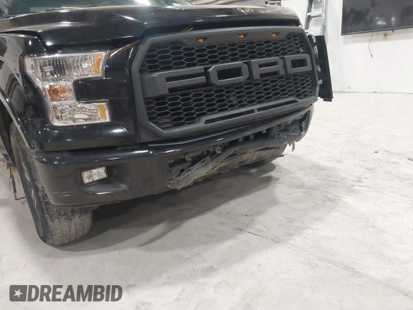 2017 Ford F-150 XL with VIN 1FTEX1EP0HFB72292, listed as a IAAI auction lot 41649699 with 102,132 mi miles. Bid and sale history available at carsss.com. Image 6.