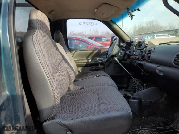 1999 Dodge Ram 1500 with VIN 1B7HC16X5XS190087, listed as a Copart auction lot 46393795 with 174,178 mi miles and Salvage Title. Bid and sale history available at carsss.com. Image 10.