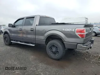 2010 Ford F-150 XL with VIN 1FTFW1EV1AFD48049, listed as a Copart auction lot 58571135 with 189,439 mi miles and Salvage title. Bid and sale history available at DreamBid. Image 2.