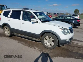 2009 Kia Borrego EX with VIN KNDJJ742195021087, listed as a IAAI auction lot 40806114 with Not Provided miles and . Bid and sale history available at DreamBid. Image 1.