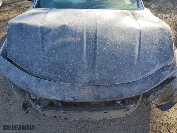 2017 Dodge Charger SXT with VIN 2C3CDXHG9HH654101, listed as a Copart auction lot 49672425 with 0 mi miles and Salvage Title. Bid and sale history available at carsss.com. Image 11.