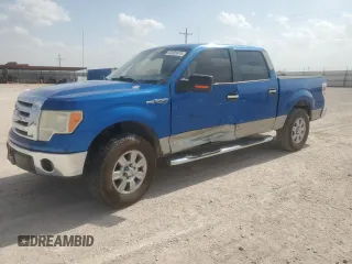 2009 Ford F-150 XL with VIN 1FTRW12819FA09279, listed as a Copart auction lot 53505975 with 174,361 mi miles and Salvage title. Bid and sale history available at DreamBid. Image 1.