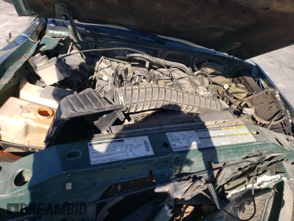 1999 Ford Ranger XLT with VIN 1FTYR14X1XPA61459, listed as a Copart auction lot 76380064 with 292,940 mi miles and Salvage Title. Bid and sale history available at DreamBid. Image 11.